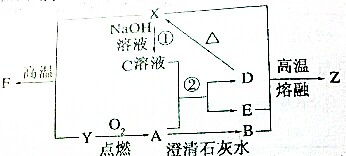 硅酸盐化学转化路径分析